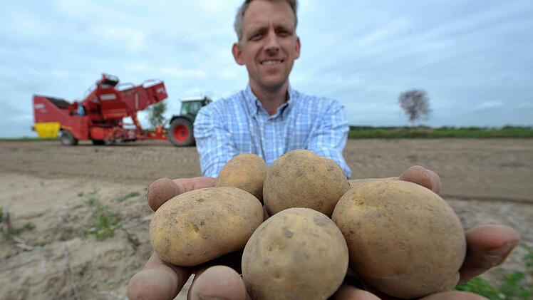 Nicht die dümmsten sondern die am besten ausgebildeten Bauern haben die größten Kartoffeln. Foto: Archiv