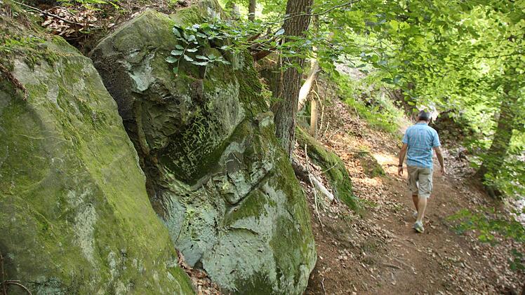 Für Wanderer ist der Maximilianspfad ein optimaler Weg - Mountainbiker sollten ihn jedoch nicht benutzen, denn die Bikes machen den Pfad kaputt. Fotos: Matthias Einwag