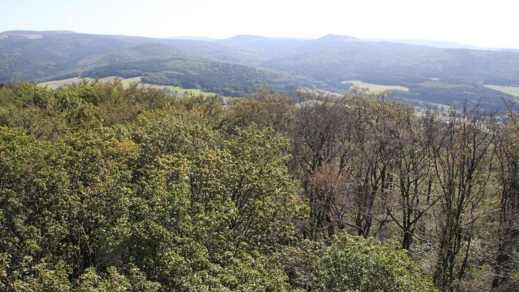 Vom Aussichtsturm aus sind die Schäden gut erkennbar: Links im Gemeindewald kann der Bergahorn noch gut leben. Die Buchen links im Staatswald allerdings sind vertrocknet. Foto: Ulrike Müller