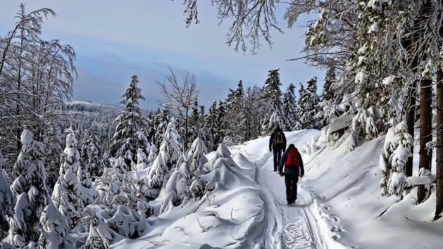 Symbolbild: Winter-Wanderweg
