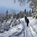 Symbolbild: Winter-Wanderweg