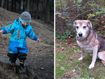 Tierheim Kulmbach: Dreijähriger besiegt seine Angst dank Hund Murphy - "Das war ein schöner Anblick" Tierheim Kulmbach: Dreijähriger besiegt seine Angst dank Hund Murphy - "Das war ein schöner Anblick"