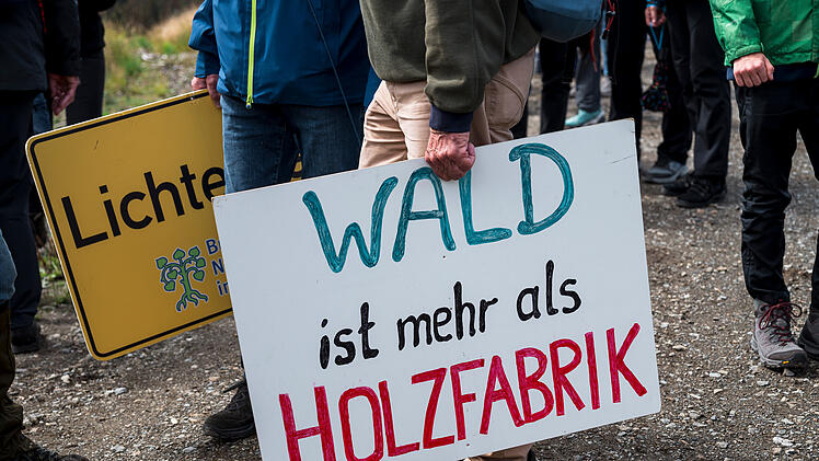 Ludwigsstadt im Frankenwald: Klimasch&uuml;tzer-Aktion gegen Waldsterben und Klimakrise