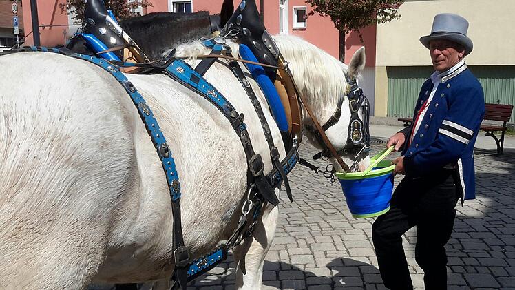 Eine wohlverdiente Pause gibt es am Alten Rathaus. Der faltbare Plastikeimer für frisches Wasser ist immer dabei.