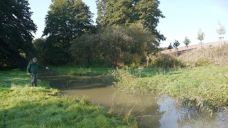 Georg Ruppert zeigt, dass das Wasser bis in den Entwässerungsgraben angestaut  ist.Foto: Berthold Köhler
