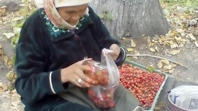 Eine Rentnerin verdient mit dem Verkauf von Erdbeeren etwas dazu.