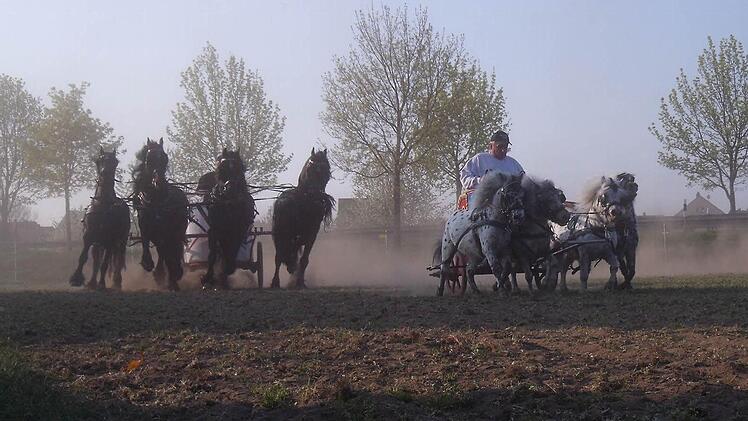 Foto: Anette Schreiber