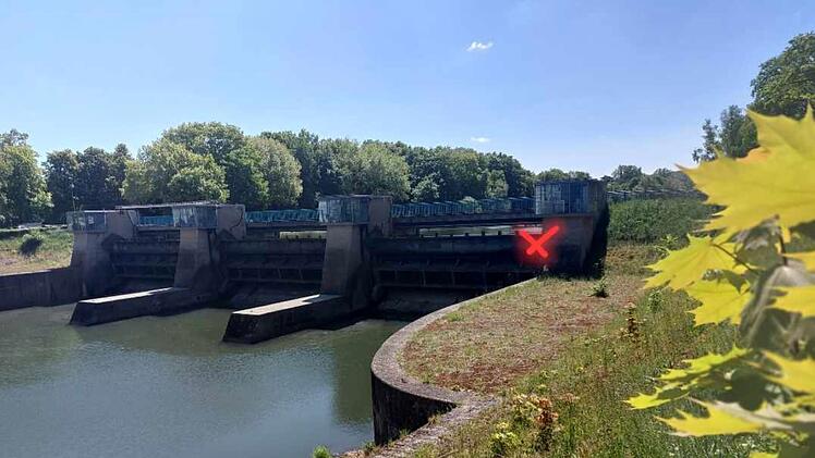 Bambergerin in Sorge: "Dann werden die Tiere vermutlich zerquetscht"