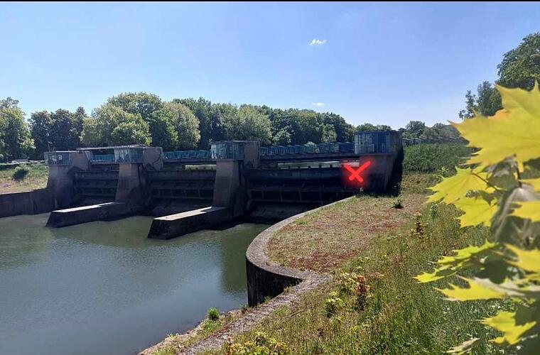 Bambergerin in Sorge: "Dann werden die Tiere vermutlich zerquetscht"