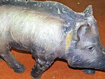 Das Wildschwein ist wieder zurück im Park. Jetzt dient es den Bogenschützen wieder als Zielscheibe.  Foto: Polizei