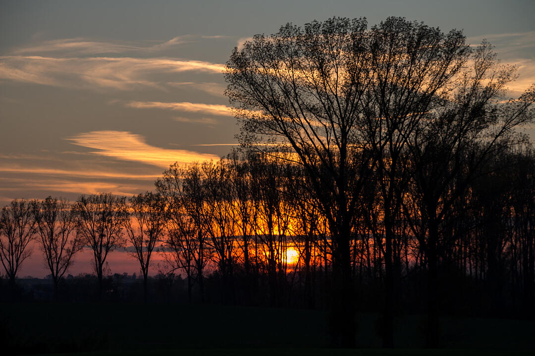 Fotos Konrad Thomann