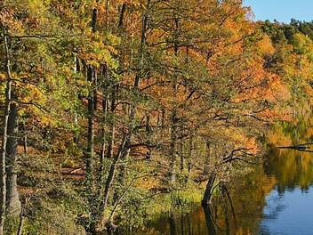 Röthenbach: Mann filmt sich beim Masturbieren am Birkensee - und richtet die Kamera auf zwei Frauen Röthenbach: Mann filmt sich beim Masturbieren am Birkensee - und richtet die Kamera auf zwei Frauen