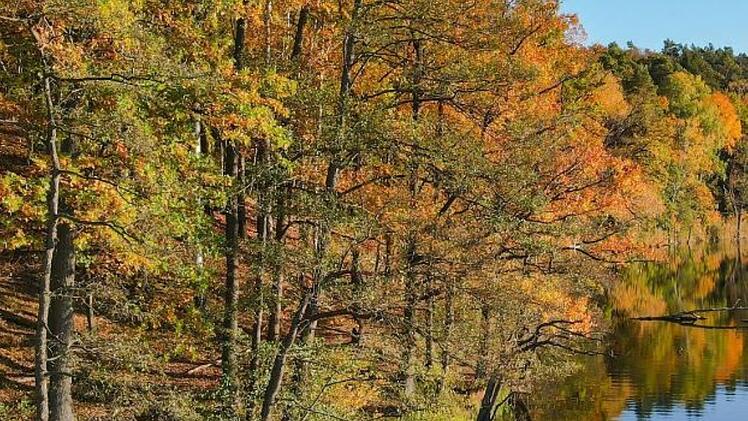 R&ouml;thenbach: Mann filmt sich beim Masturbieren am Birkensee - und richtet die Kamera auf zwei Frauen