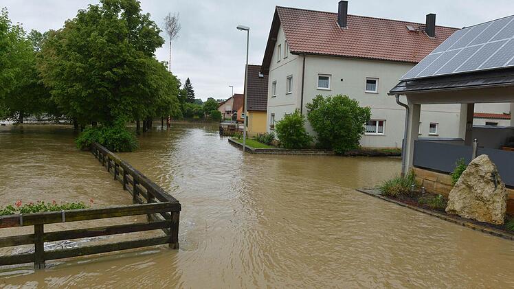 Wiesengiech. Foto: Ronald Rinklef