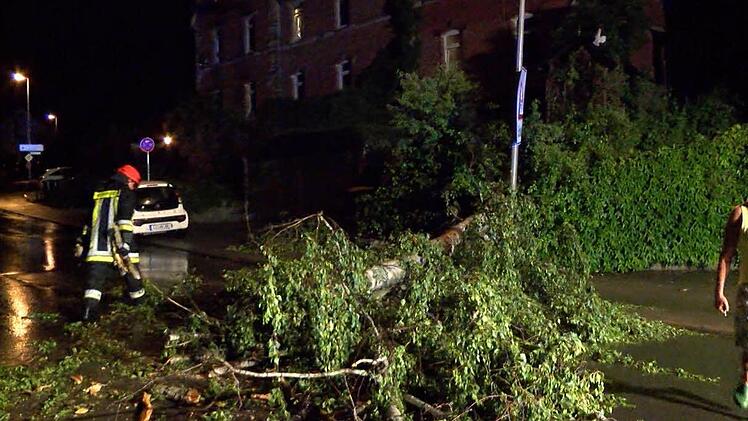 Foto: News5/Grundmann