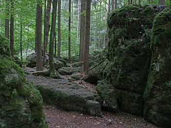 Der Druidenhain liegt idyllisch im Wald bei Wohlmannsgesees. Foto: Jennifer Hauser