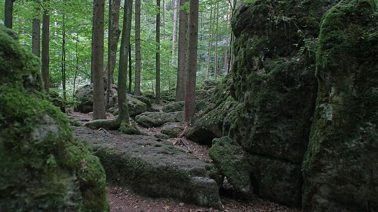 Der Druidenhain liegt idyllisch im Wald bei Wohlmannsgesees. Foto: Jennifer Hauser
