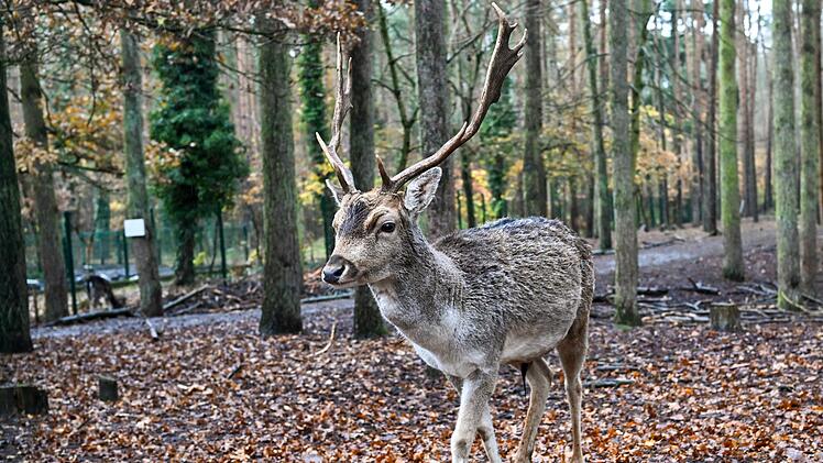 Tierpark Perleberg