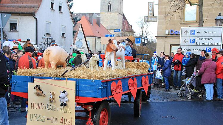 Der Faschingszug durch Höchstadt  - Foto: Andreas Dorsch