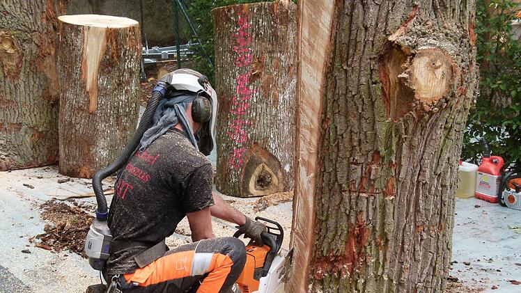 Michael Tamoszis beim Entrinden Foto: Marion Krüger-Hundrup