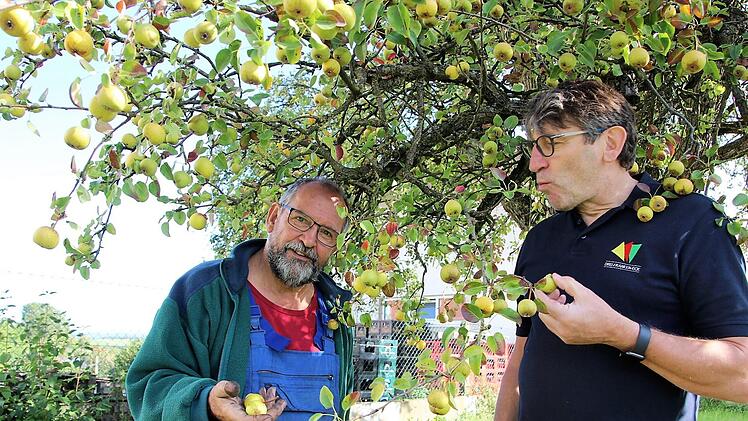 Bernhard Roppelt pflegt viele alte Obstbäume - besondere Sorten, die es nicht mehr überall gibt. Josef Körner schmeckt das. Diana Fuchs