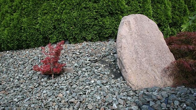 Die Schotterfl&auml;che rechts dagegen bieten keinen nat&uuml;rlichen Lebensraum.