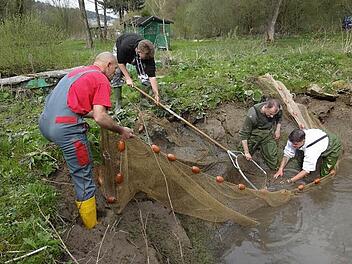 Im Frühjahr werden die Weiher abgefischt. Fotos: Petra Malbrich