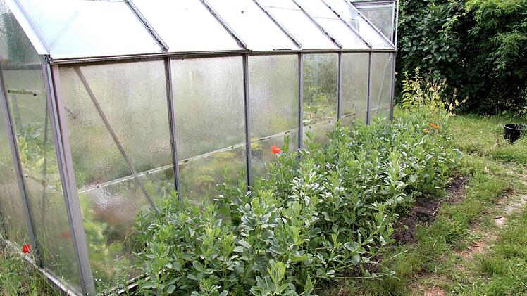 Foto: Richard Sänger