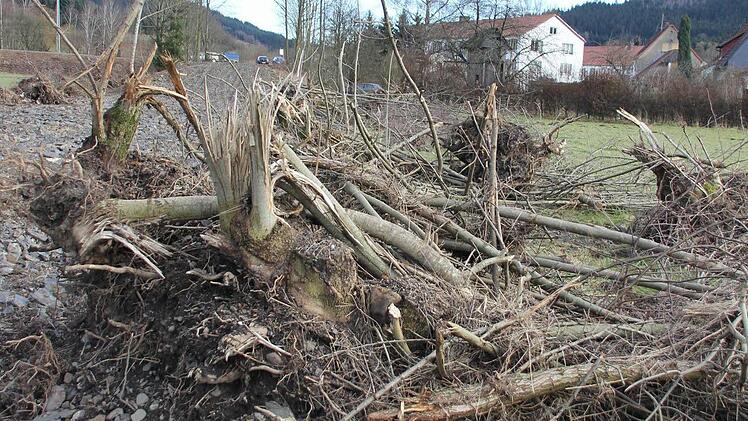 Foto: Friedwald Schedel