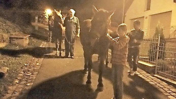 In einer Gemeinschaftsaktion wurden die ausgebrochenen Pferde zurück in ihren Stall gebracht.  Foto: privat