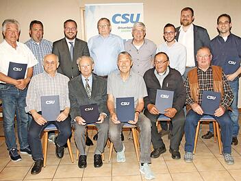 Die Geehrten des CSU-Ortsverbands Ahorn Foto: Michael Stelzner
