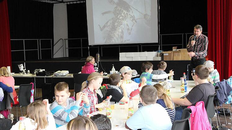 In der Eggerbachhalle wurden die kleinen Wasserbewohner plötz-lich riesengroß: Die Biologen projizierten die Mikroskopansicht auf die Leinwand.