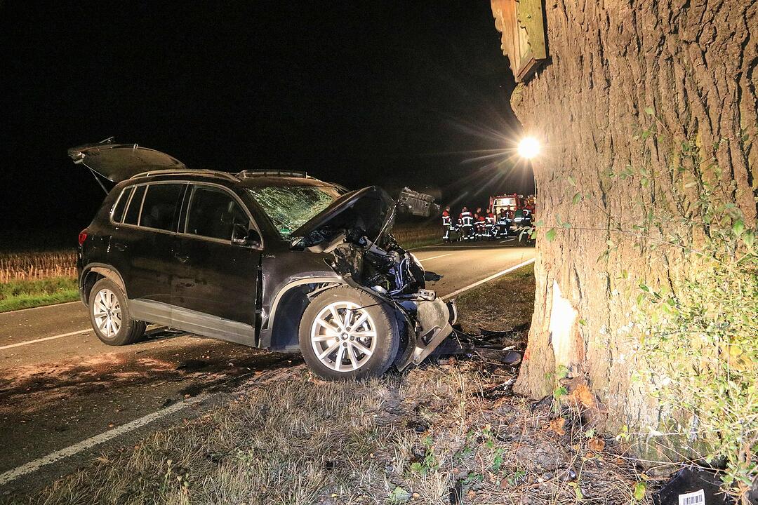 SUV knallt frontal gegen Baum