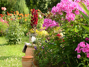 Beetbepflanzung anlegen: So bringst du Harmonie in deinen Garten