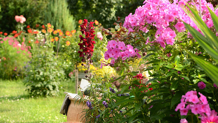 Beetbepflanzung anlegen: So bringst du Harmonie in deinen Garten