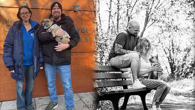 Tierheim N&uuml;rnberg: Anita starb mit nur 42 - "letzter Wunsch" r&uuml;hrt zu Tr&auml;nen