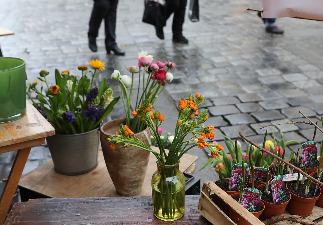 Frühling in Franken: Das Leben erwacht
