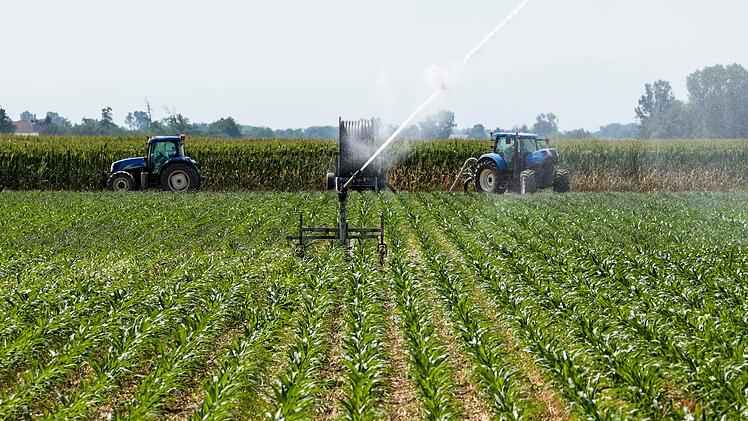 Landwirtschaft in Italien