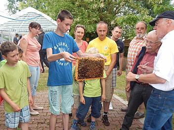 Wer es sich zutraute, durfte die Bienenwaben auch selbst in die Hand nehmen.  Foto: Mona Lisa Eigenfeld