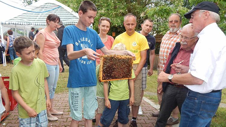 Wer es sich zutraute, durfte die Bienenwaben auch selbst in die Hand nehmen.  Foto: Mona Lisa Eigenfeld