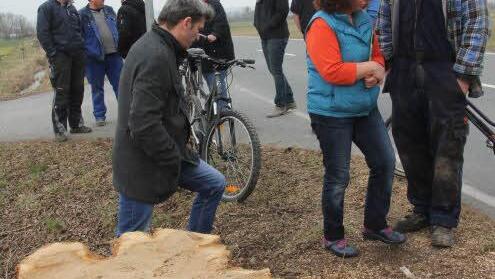 Enttäuscht sind die Recheldorfer über die Fällung "ihrer Pappel." Am Stock derselben diskutierten am Samstagnachmittag Karl-Ludwig Grell (rechts), Edwin Lutter (vorne links) und Matthias Ehrlich (hinten links) zusammen mit anderen Ortsbewohnern. Foto: Helmut Will