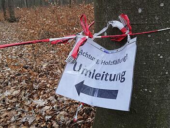 An vielen Stellen sind derzeit Waldwege wegen laufenden Holzeinschlags gesperrt. Betroffen sind auch Wanderwege. Heike Beudert