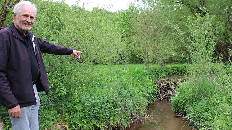 Das ist der Biberdamm, der den Lollbach im Golfplatz aufstaut und die Golfbahn damit vernässt.  Foto: Heike Beudert