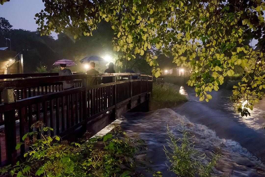 Dauerregen: Hochwasser in Teilen Deutschlands