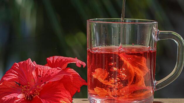 Schon zwei Tassen Hibiskustee am Tag können erwiesenermaßen positiv auf Bluthochdruck wirken.