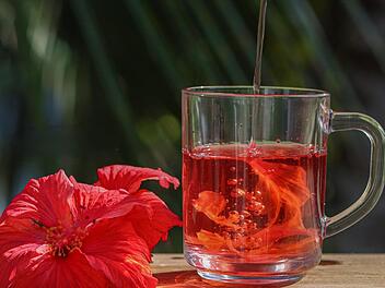 Schon zwei Tassen Hibiskustee am Tag können erwiesenermaßen positiv auf Bluthochdruck wirken.