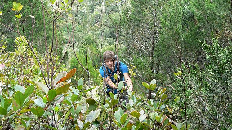 Schon geübt: Den ein oder anderen kleinen Berg hat Philipp auch in Australien bestiegen.