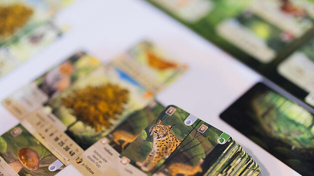 Brettspielmesse Spiel 2024 in Essen: 'Mischwald" gewinnt Deutscher Spielepreis