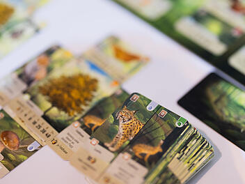 Brettspielmesse Spiel 2024 in Essen: 'Mischwald" gewinnt Deutscher Spielepreis
