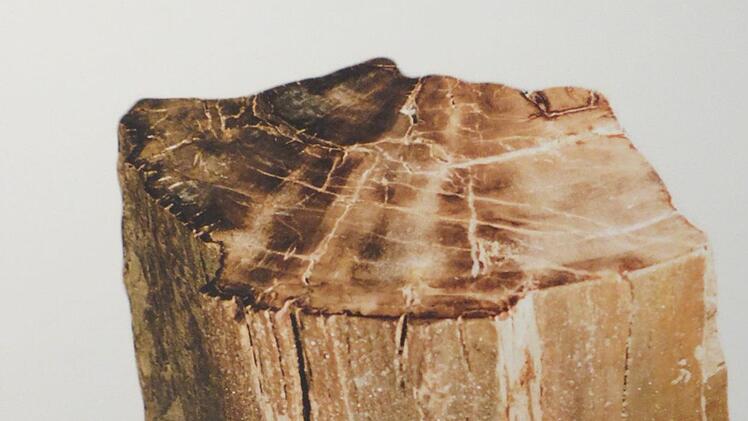 Kieselholz - Dieses wurde aus dem Museum im Rahmen des Austauschs außer Haus gegeben. Foto: Doris Bauer